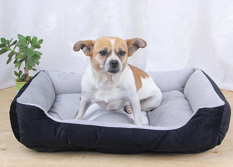 Cute Pet Bed